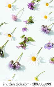 花 シンプル の写真素材 画像 写真 Shutterstock