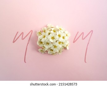 Creative layout for Mother's day made of two M letters and white spring flowers on pastel pink background. Minimal nature concept. Creative spring idea. Happy Mother's day. MOM letters. Flat lay.