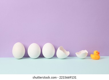 Creative Layout. Rubber Duck With Eggs On Two Tone Pastel Background. Conceptual Pop. Minimal Still Life.