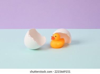 Creative Layout. Rubber Duck With Eggshell On Two Tone Pastel Background. Conceptual Pop. Minimal Still Life.