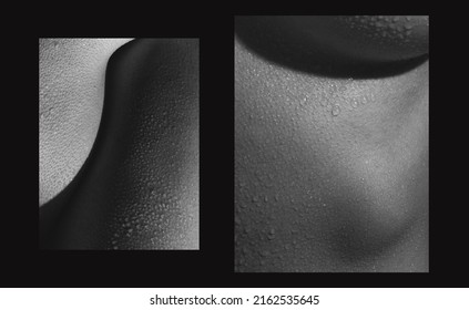 Creative look at the beauty of female body. Set with closeup images of part of woman's body. Skincare, bodycare, healthcare concept. Design for abstract poster, artwork, picture. Monochrome - Shutterstock ID 2162535645