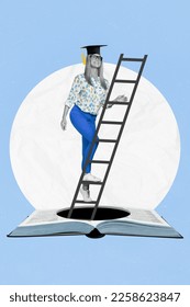 Creative metaphor collage banner of female lady climb ladder up from book get wisdom educational knowledge - Shutterstock ID 2258623847