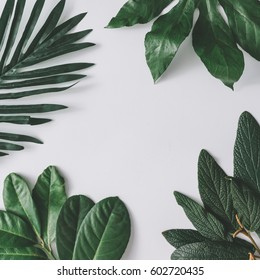 Creative Minimal Arrangement Of Leaves On Bright White Background. Flat Lay. Nature Concept.