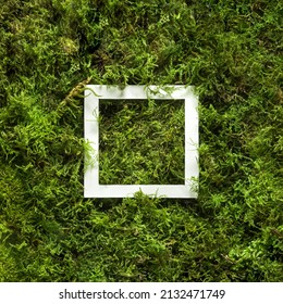 Creative Minimal Flatlay Composition Of Natural Green Moss In Background With White Copy Space.
