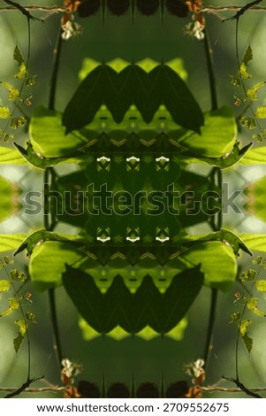 Creative mirror effect background composed of vibrant fresh foliage. Unique natural kaleidoscope texture ideal for eco friendly packaging, sustainable branding, and decorative textile prints.
