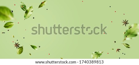 Creative mockup with flying various types of spices Bay leaf, red chili pepper, anise on green background with copy space. Long food banner with copy space.