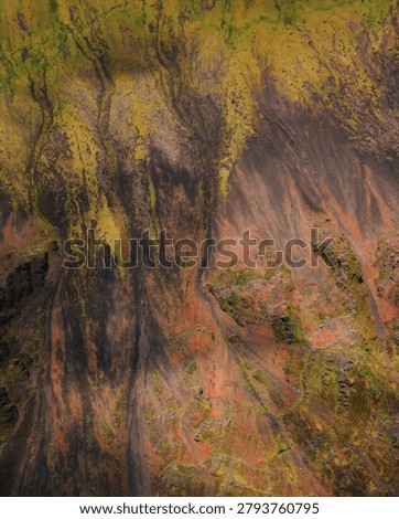 Creative motion blur transforms a forest scene into a dreamlike abstract artwork. Flowing colors and organic textures evoke imagination, movement, nature, and artistic expression.
