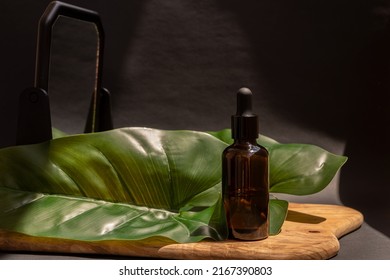 Creative natural beauty concept with dark bottle for liquid beauty product on olive wood board surrounded by green leaves of plant on black background