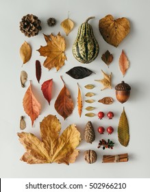 Creative natural layout made of autumn flora. Neatly organised. Flat lay.