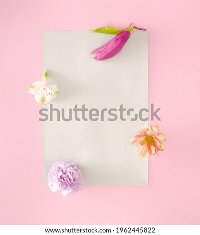 Creative nature arraignment. Various spring flowers on gray and pink background.