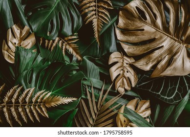 Creative Nature Background. Gold And Green Tropical Monstera And Palm Leaves. Minimal Summer Abstract Jungle Or Forest Pattern.