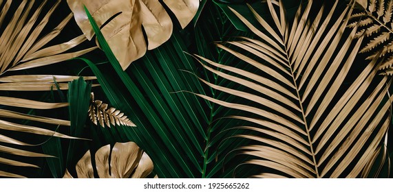 Creative Nature Background. Gold And Green Tropical Monstera And Palm Leaves. Minimal Summer Abstract Jungle Or Forest Pattern.