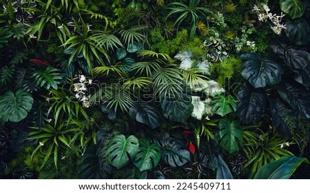 Creative nature green background, tropical leaf banner or floral jungle pattern concept.	