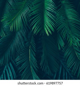 Creative nature layout made of tropical leaves and flowers. Flat lay. Summer concept. - Shutterstock ID 619897757