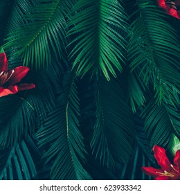 Creative Nature Layout Made Of Tropical Leaves And Flowers. Flat Lay. Summer Concept.