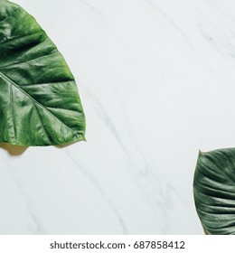 Creative Nature Layout Made Of Tropical Leaves And Flowers. Flat Lay. Summer Concept.