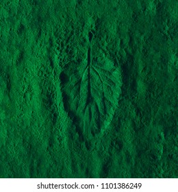 Creative Nettle Leaf Impression On Green Powder. Minimal Nature 