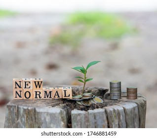 Creative  New  Normal  Concept  setting  with  young  plant  growing  out  of  coins on  old  tree  stump  with  nature  blurry  background