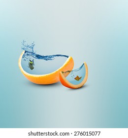 Creative Orange Fruit Slice Aquarium Photo Manipulation/Juicy Orange Fruit Slice/Creative Design