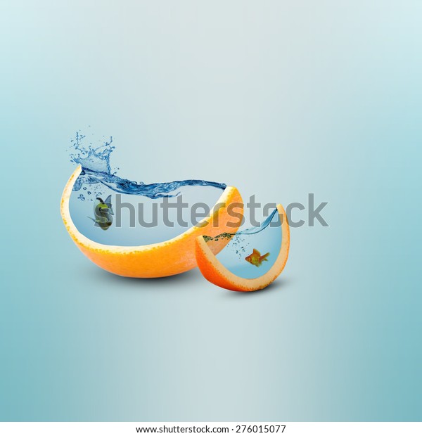 Creative orange fruit slice\
aquarium photo manipulation/Juicy orange fruit slice/Creative\
design
