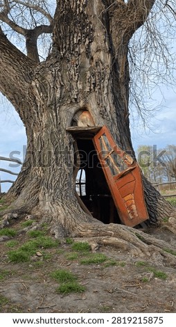 ​A creative outdoor art installation featuring a vintage red car door fitted inside the hollow of a large, old tree trunk.
