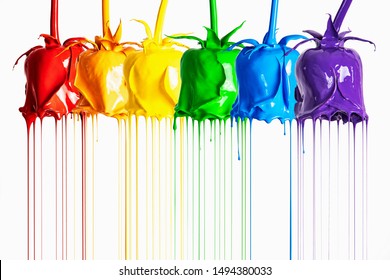 Creative Painted Rainbow Pride Rose Flowers Dripping With Color