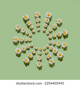 Creative pattern made of daisy flowers on pastel green background with shadow. Floral summer composition. Nature concept. Minimal style. Top view. Flat lay - Powered by Shutterstock - Get 15% off with code: PIKWIZARD15