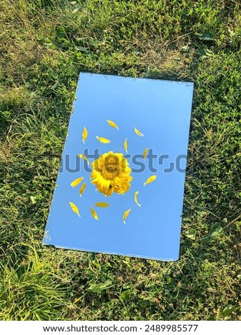 Similar – Image, Stock Photo cloud mirror Relaxation