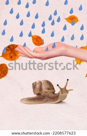 Creative retro 3d magazine image of arm catching storm drops protecting snail isolated painting background