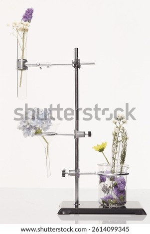 Creative science-themed composition of fresh flowers placed in laboratory glassware test tubes, funnel, and beaker mounted on a metal lab stand. Captured against a white background, this image bridges