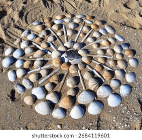 creative seashell mandala circle on the beach