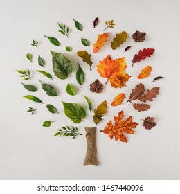 Disposition créative saisonnière des feuilles et branches colorées d'été et d'automne. Nature faux sur fond doré. Concept saisonnier. Un arbre plat.