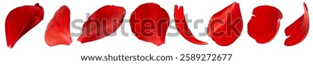 Creative set collection with Beautiful Red Peony petals isolated on white background. High resolution. Zero gravity or levitation concept.