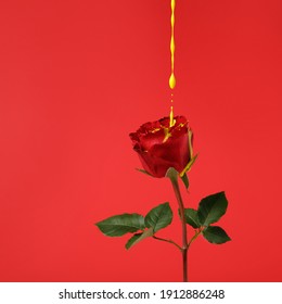 Creative spring layout made of red rose flower with dripping yellow paint on pastel background. Minimal bloom, blossom or floral concept. Summer exotic background with copy space.