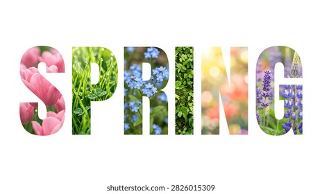 Creative springthemed word composed of vibrant flowers and greenery isolated on transparent background