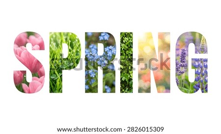 Creative springthemed word composed of vibrant flowers and greenery isolated on transparent background