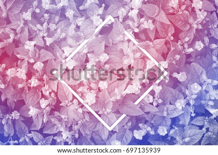 Creative square abstract layout made of leaves and flowers. Flat lay. summer concept.