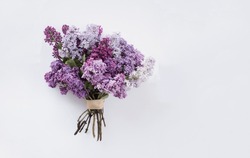 La Vie Créative Immobile. Bouquet De Fleurs De Lilas Violettes. Concept Printanier