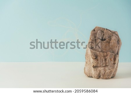Creative stone podium for cosmetics or products with dreid plant on pink background. Marketing scene mockup. Front view, copy space