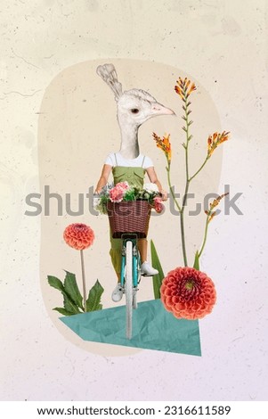 Creative surreal weird template collage of person traveler with bird face ride bicycle have lawn rural adventure