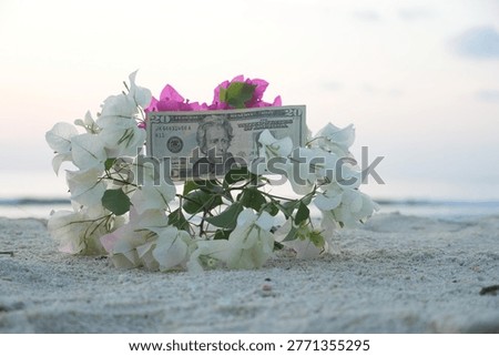 A creative and thought-provoking image of a dollar bill surrounded by flowers on a sandy beach, evoking feelings of relaxation and luxury.