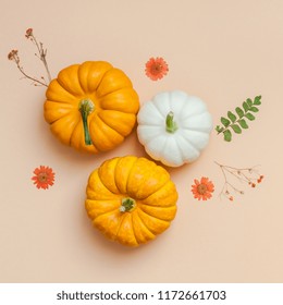 Creative Top view flat lay autumn composition. Pumpkins dried flowers leaves color paper background copy space. Square Template fall harvest thanksgiving halloween anniversary invitation cards