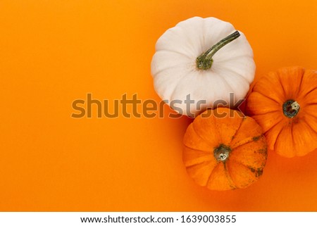 Creative Top view flat lay autumn composition. Frame made of pumpkins color paper background copy space. Template fall harvest thanksgiving halloween anniversary invitation cards.