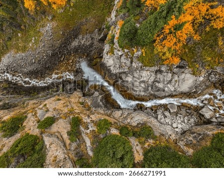 A creative top-down perspective of a small waterfall and stream making its way through a rocky gorge, contrasted with vibrant orange autumn foliage