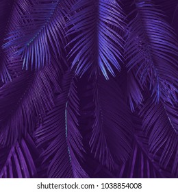 Creative tropic purple leaves layout. Supernatural concept. Flat lay. Ultra violet colors.