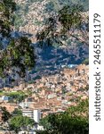 Creative vertical panorama (cityscape) of Medellin, Medellín, Antioquia, Colombia, on a sunny day. The pictures shows popular districts. Vegetation in the foreground.