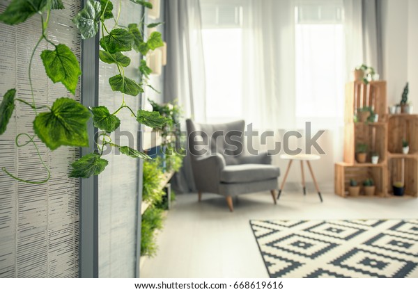 Creative View Elegant Decorated Stylish Room Stock Photo 668619616 ...