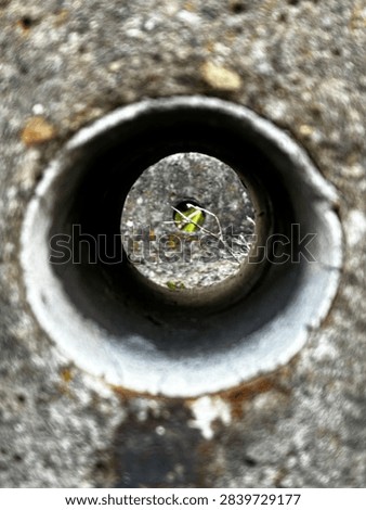 Creative view looking through a round drainage pipe in a weathered concrete barrier. Tunnel perspective through two aligned holes with small green twigs and leaves visible in the distance. Abstract industrial background, concept of perspective, focus and hope, urban texture with nature.
