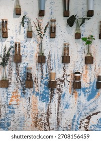 A creative wall display featuring small wooden shelves holding glass vases, cups, and jars filled with plants, flowers, and decorative items. The background is an abstract, textured wall painted with 