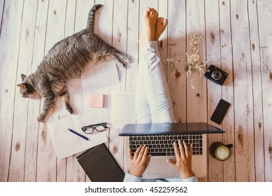 Creative workspace: girl working with her cute grey cat. - Powered by Shutterstock